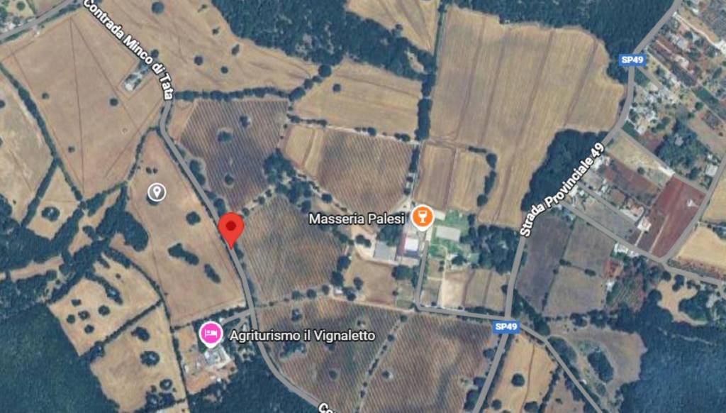 immagine annuncio 10 di 11