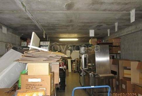 immagine annuncio 3 di 8