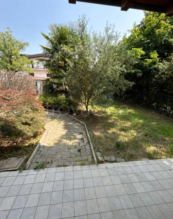 immagine annuncio 5 di 12