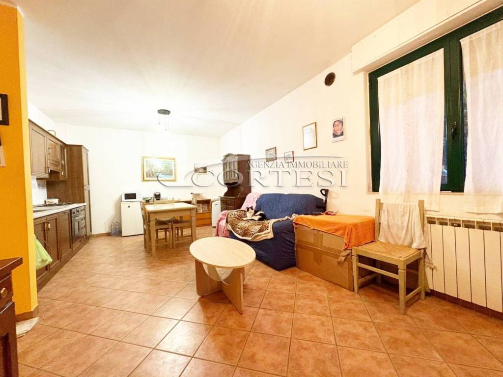 immagine annuncio 3 di 13