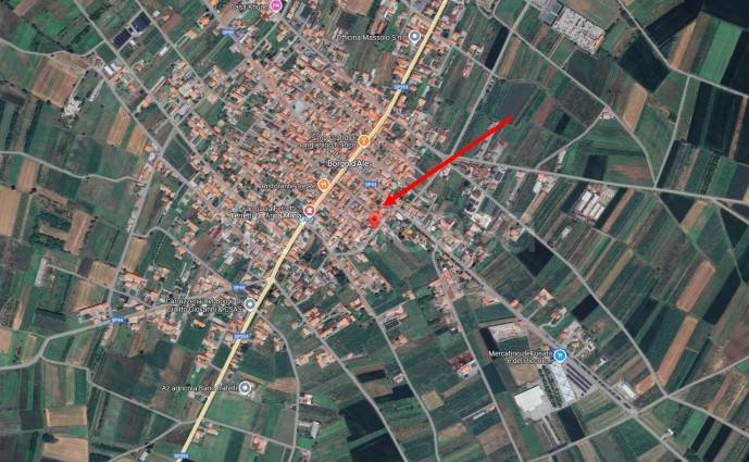 immagine annuncio 1 di 14