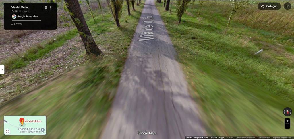 immagine annuncio 6 di 11