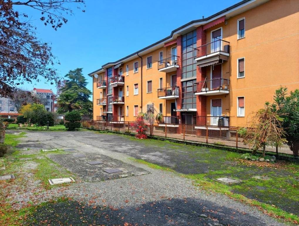 immagine annuncio 2 di 15