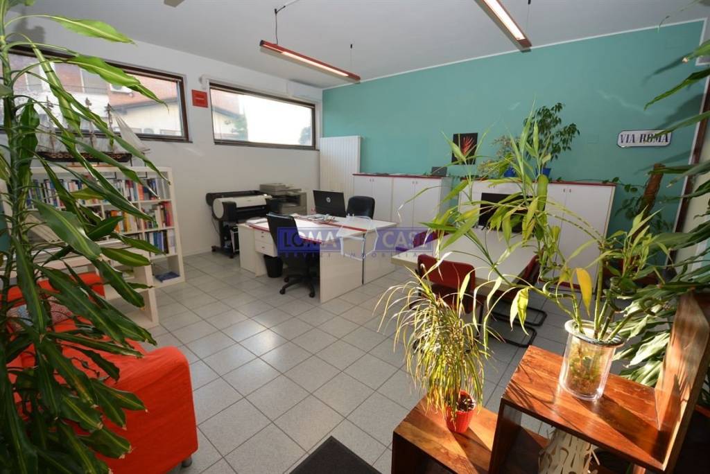 immagine annuncio 1 di 12