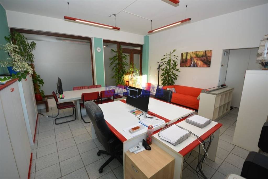 immagine annuncio 4 di 12