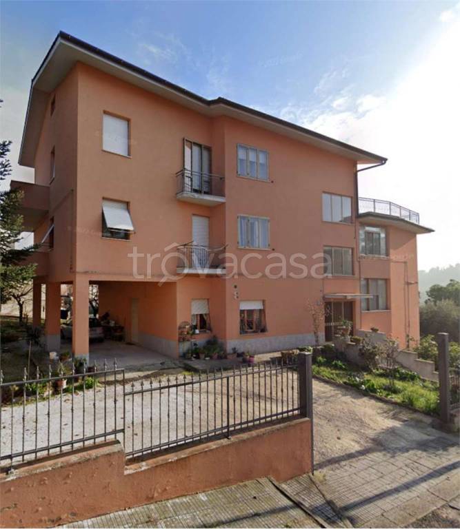 immagine annuncio 2 di 11