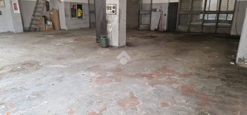 immagine annuncio 5 di 11