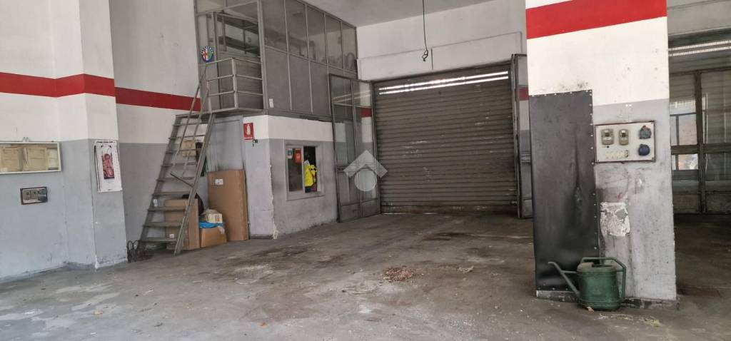 immagine annuncio 6 di 11