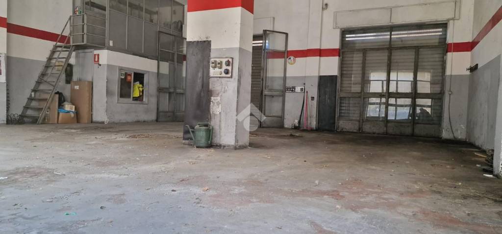 immagine annuncio 7 di 11