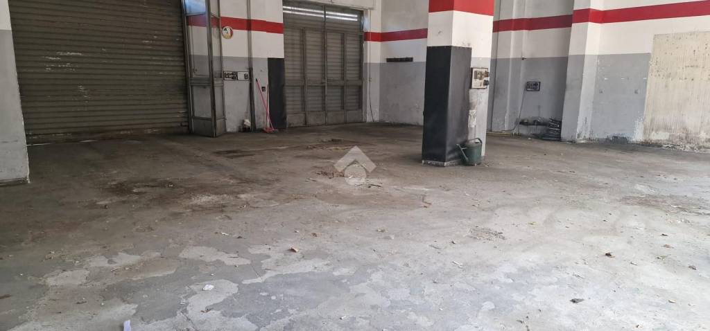 immagine annuncio 9 di 11