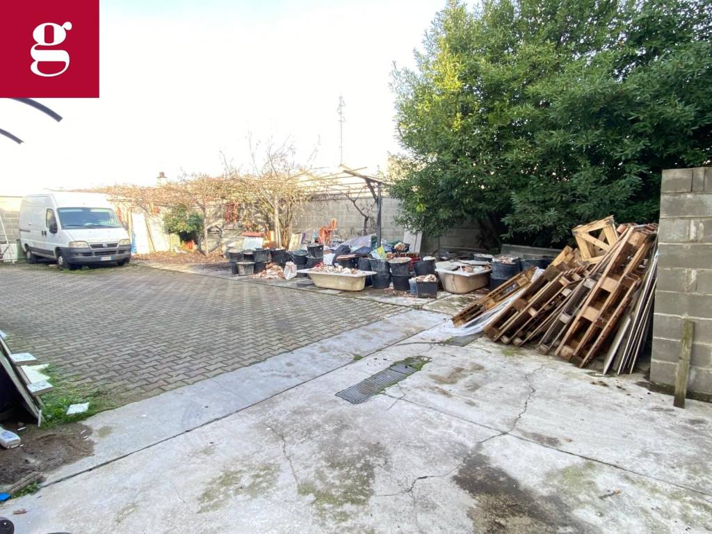 immagine annuncio 1 di 12