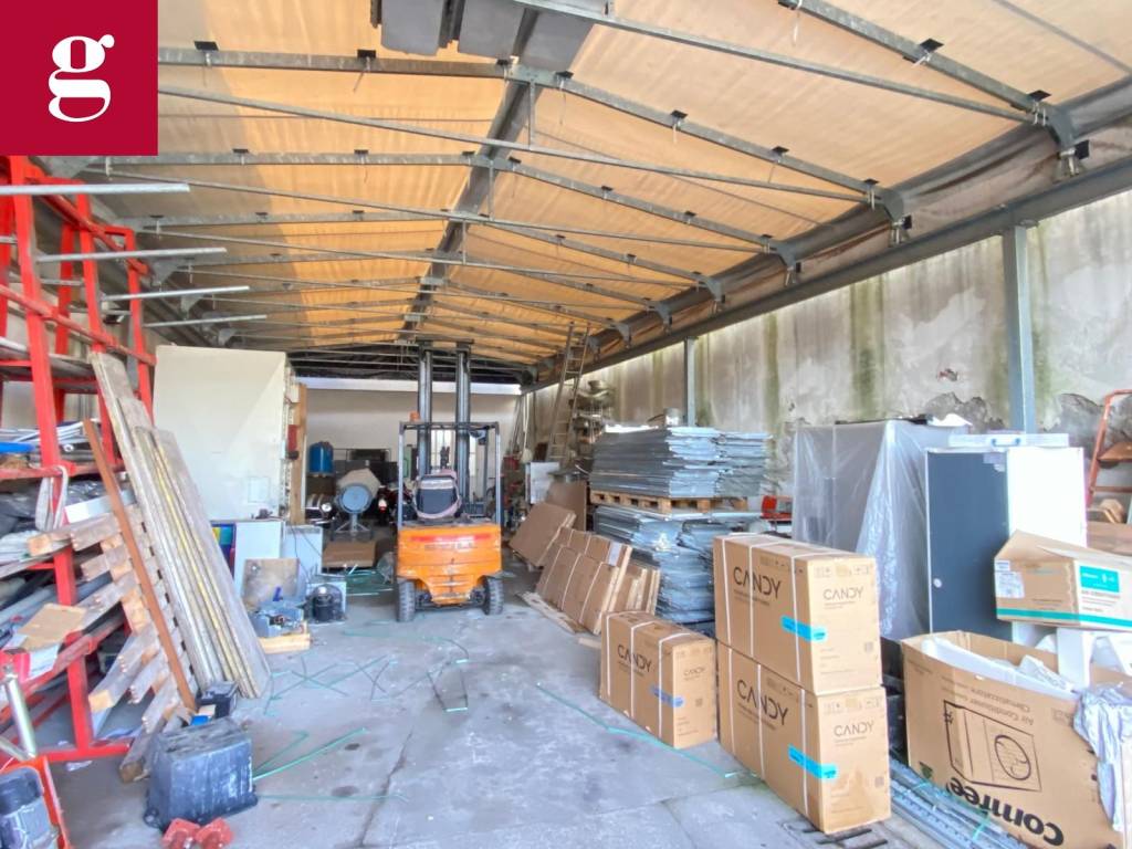 immagine annuncio 2 di 12