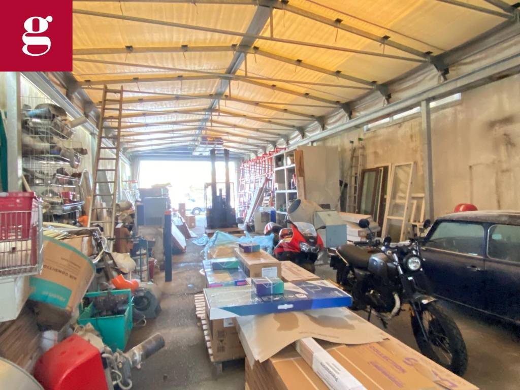 immagine annuncio 5 di 12