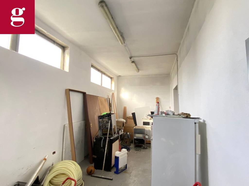 immagine annuncio 9 di 12