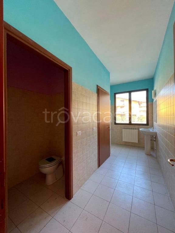 immagine annuncio 5 di 9