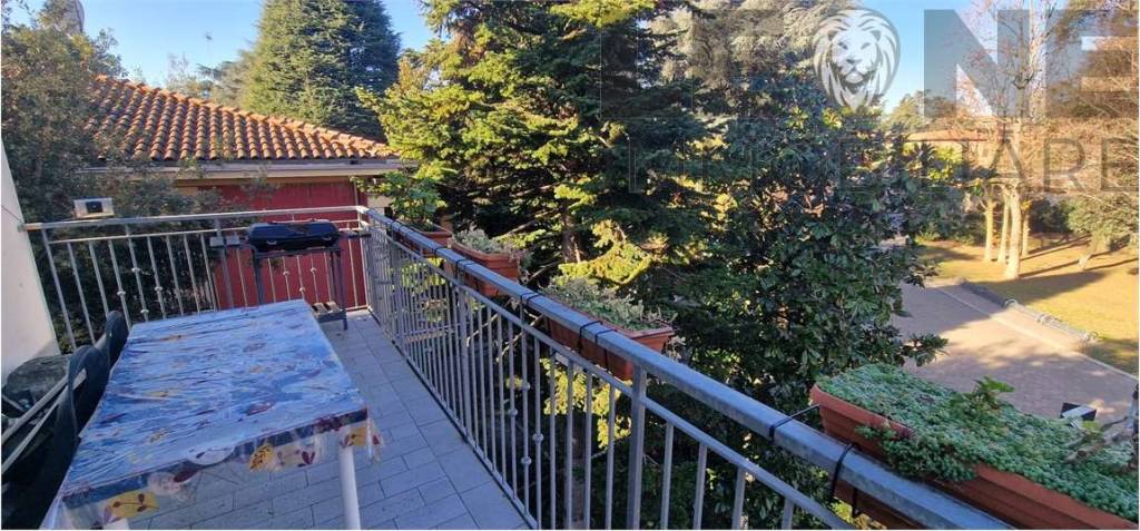 immagine annuncio 3 di 6