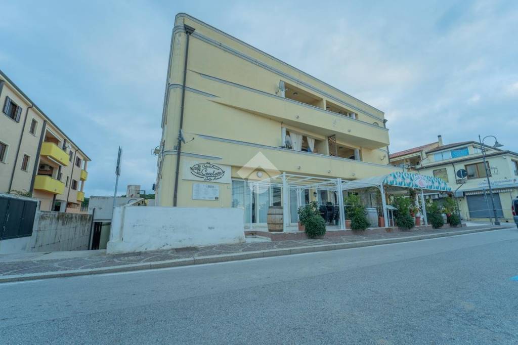 immagine annuncio 12 di 13