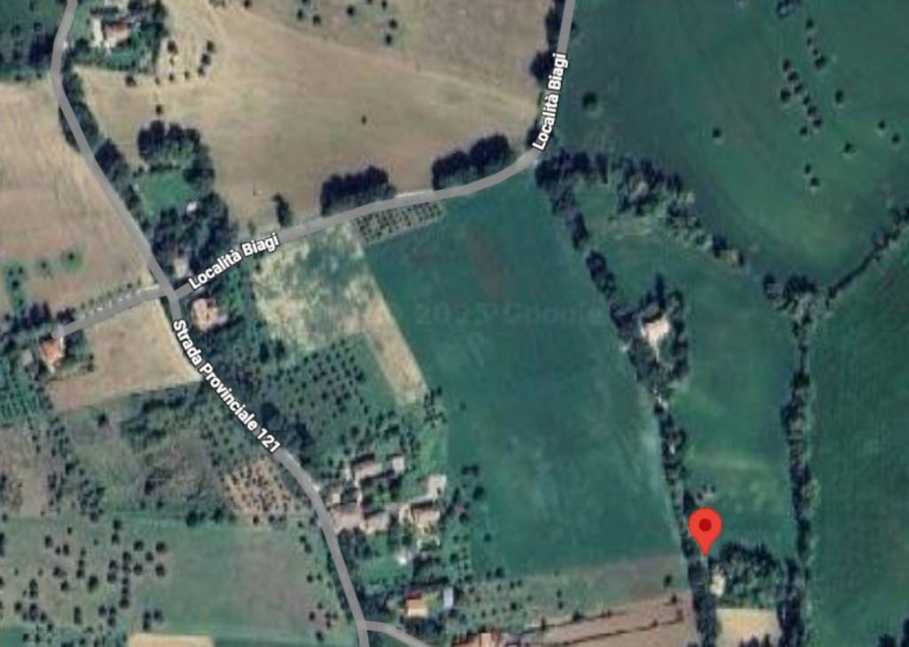 immagine annuncio 10 di 13