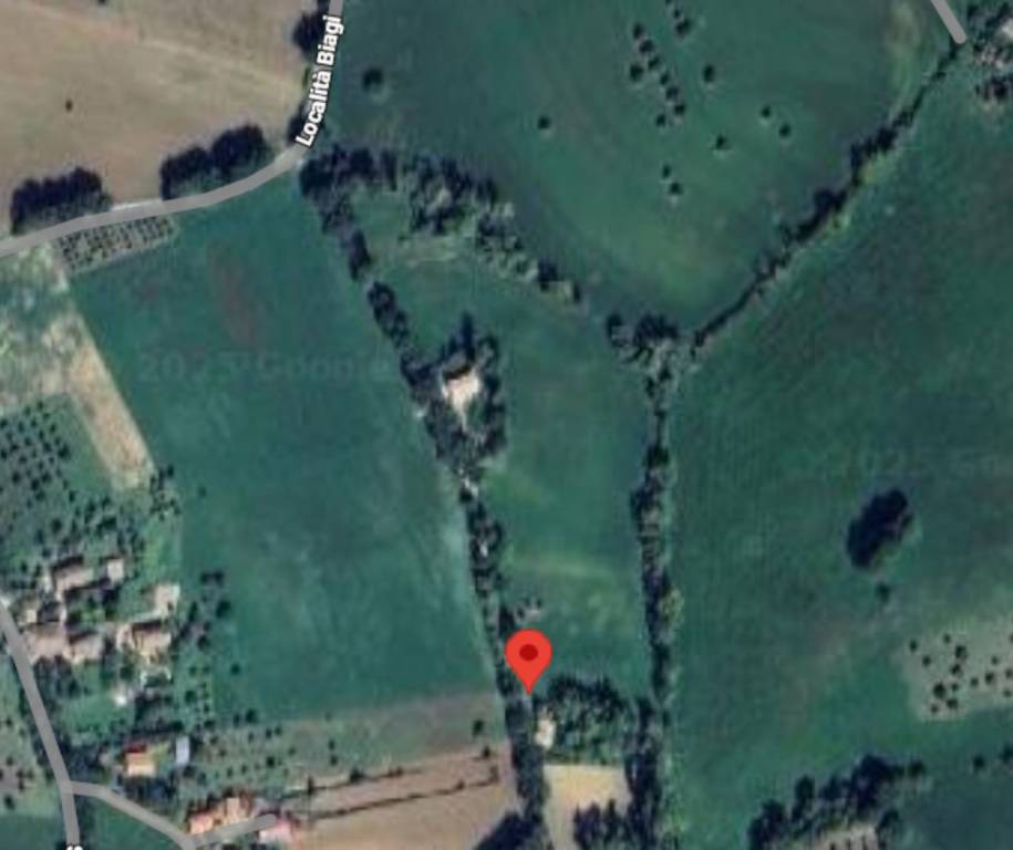 immagine annuncio 11 di 13