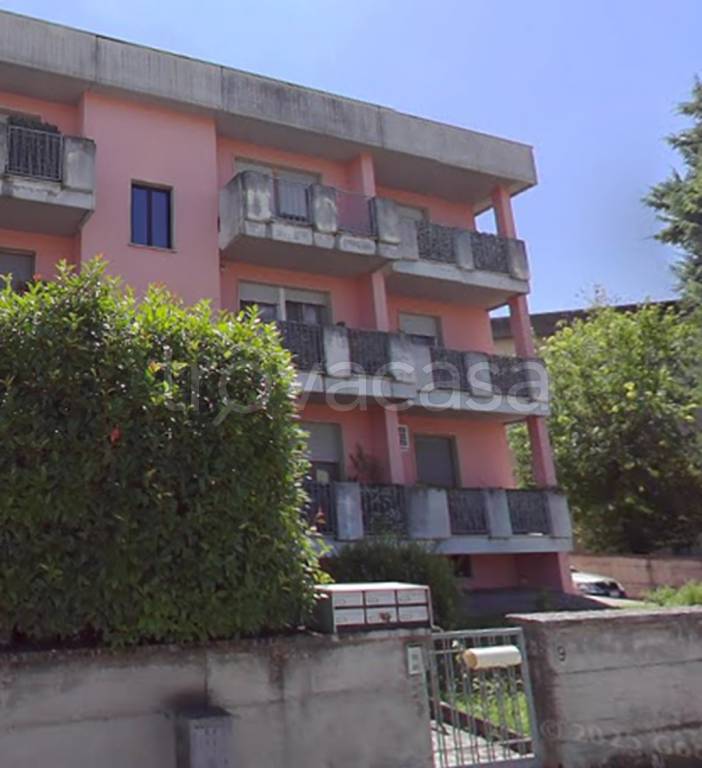 immagine annuncio 1 di 14