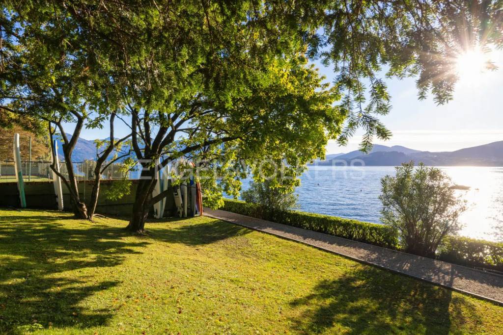 immagine annuncio 12 di 14