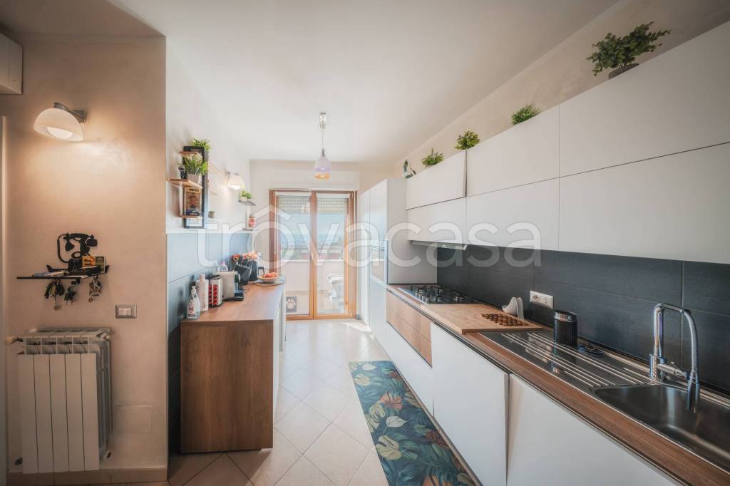 immagine annuncio 6 di 14