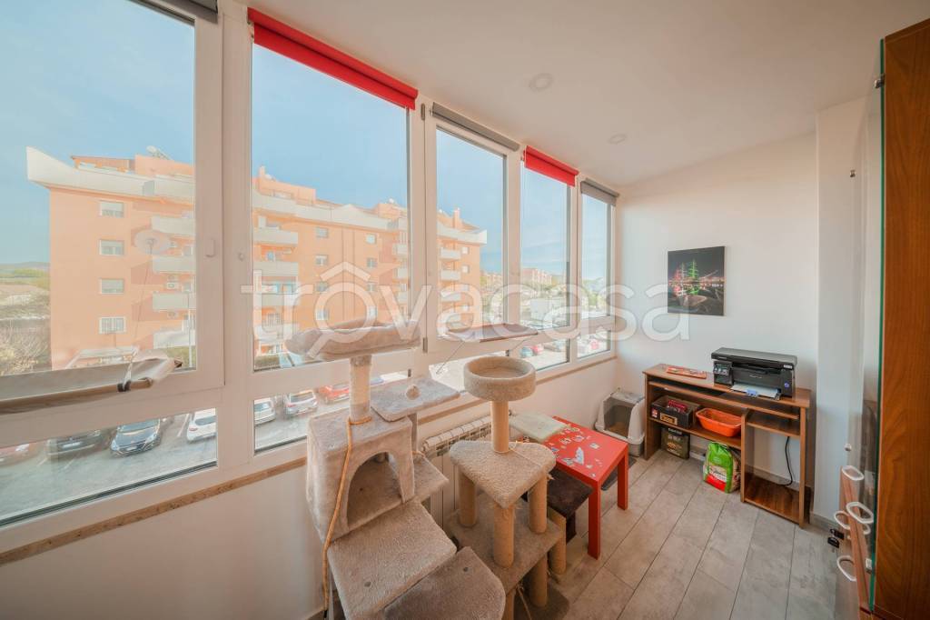 immagine annuncio 5 di 14