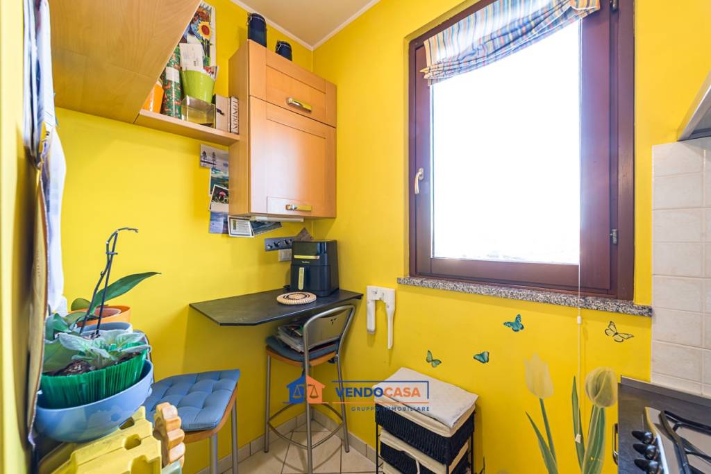 immagine annuncio 7 di 15