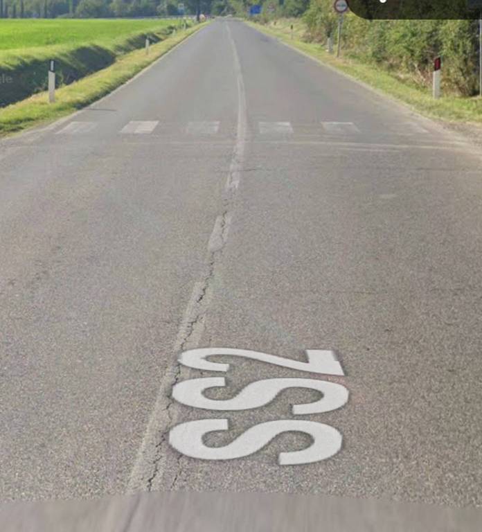 immagine annuncio 1 di 12