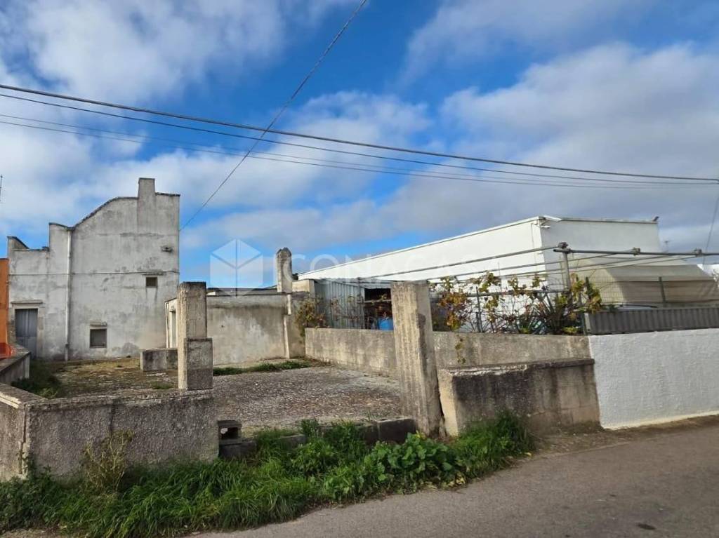 immagine annuncio 11 di 12