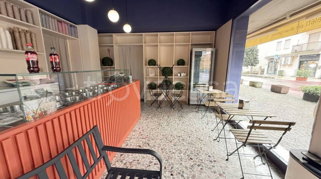 immagine annuncio 5 di 11