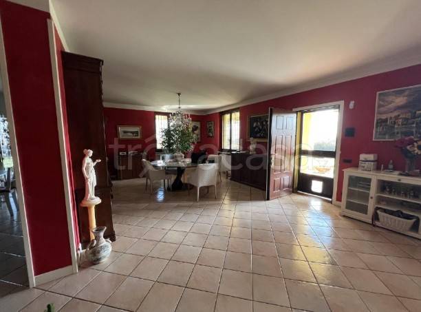 immagine annuncio 1 di 7