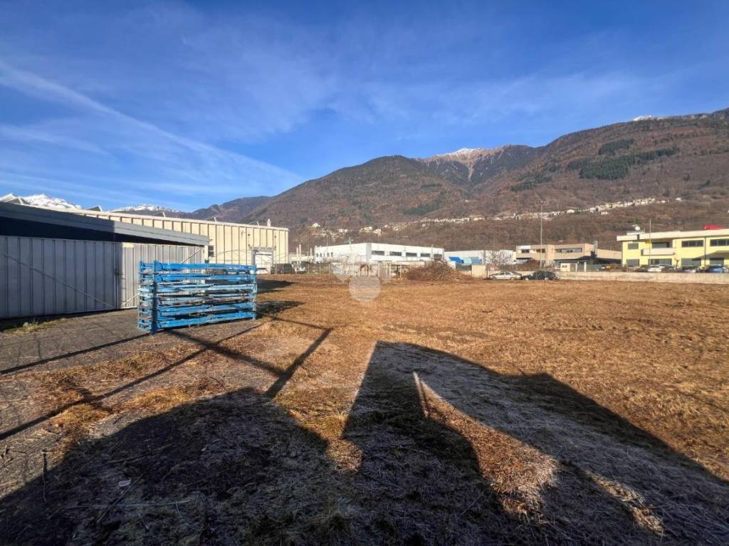 immagine annuncio 12 di 15