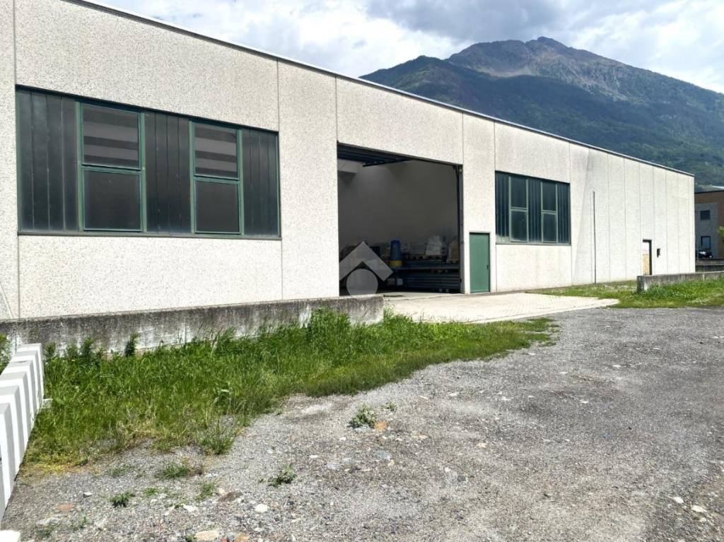 immagine annuncio 1 di 14