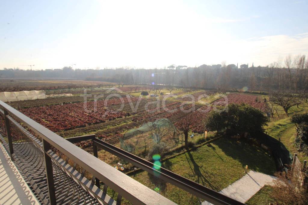 immagine annuncio 10 di 14