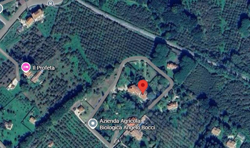 immagine annuncio 4 di 11