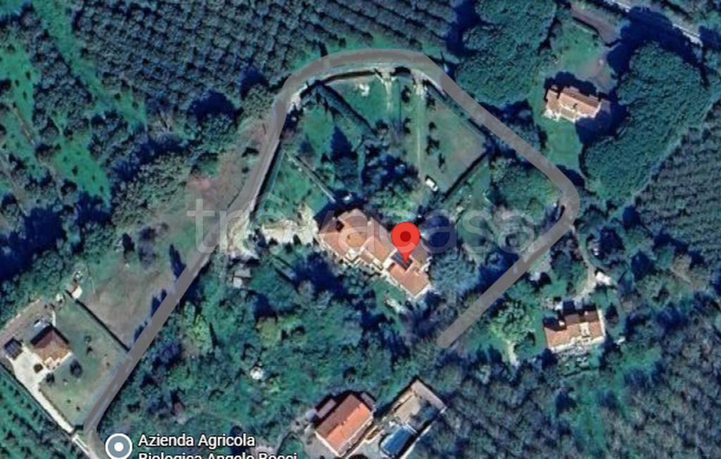 immagine annuncio 5 di 11