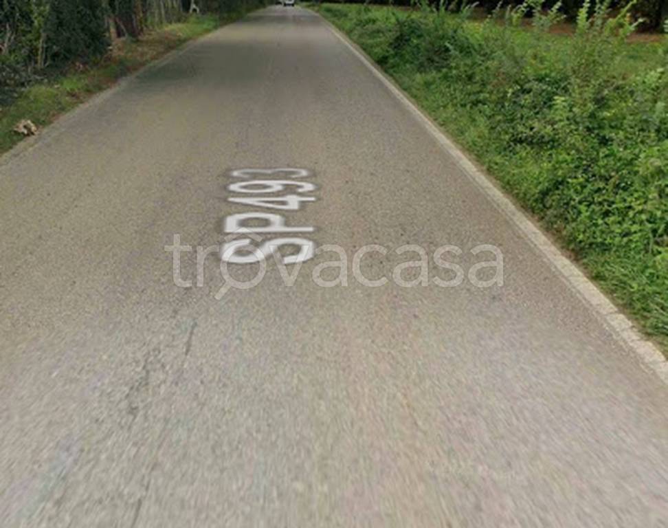 immagine annuncio 9 di 11