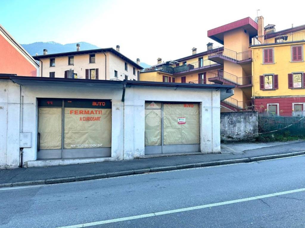 immagine annuncio 6 di 15