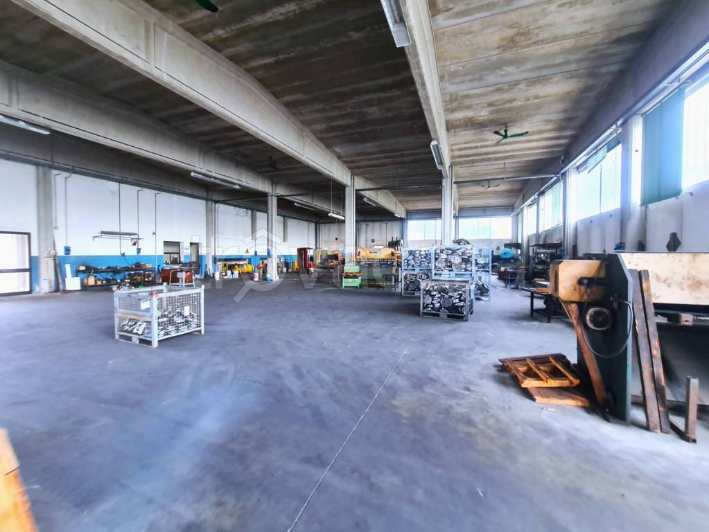 immagine annuncio 7 di 15