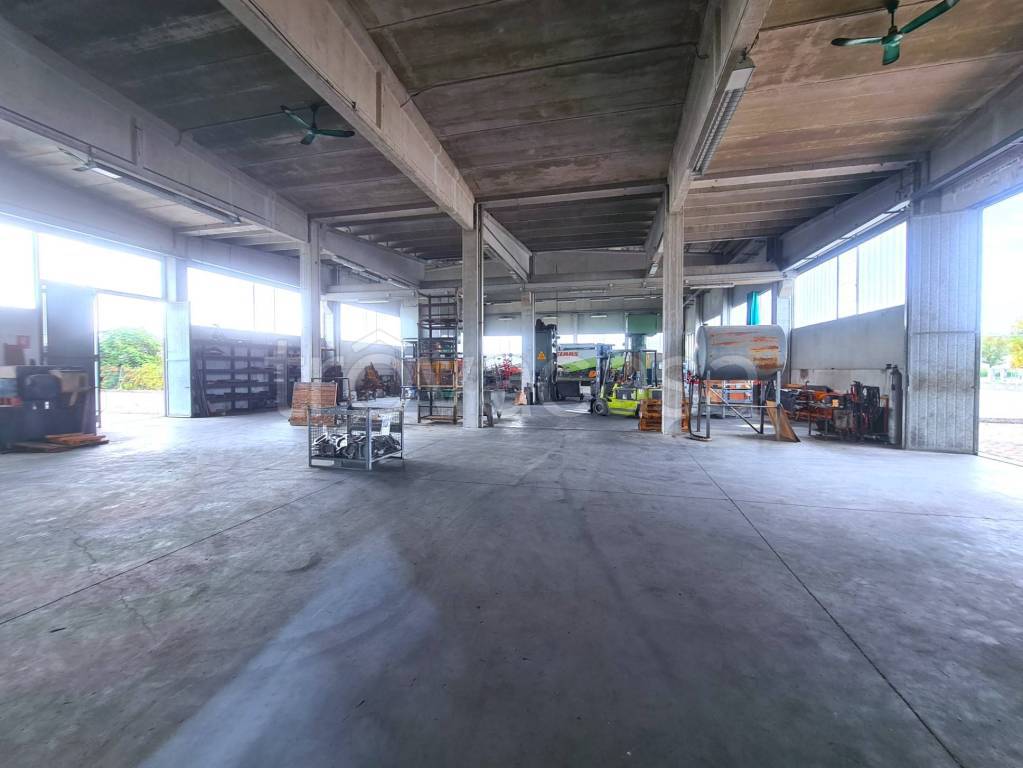 immagine annuncio 8 di 15