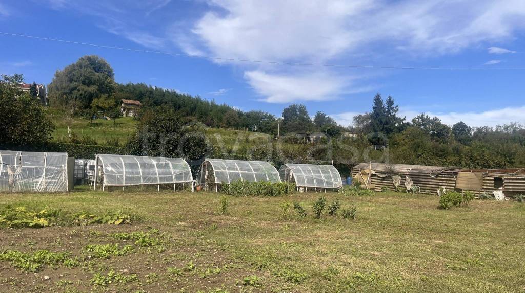 immagine annuncio 2 di 14