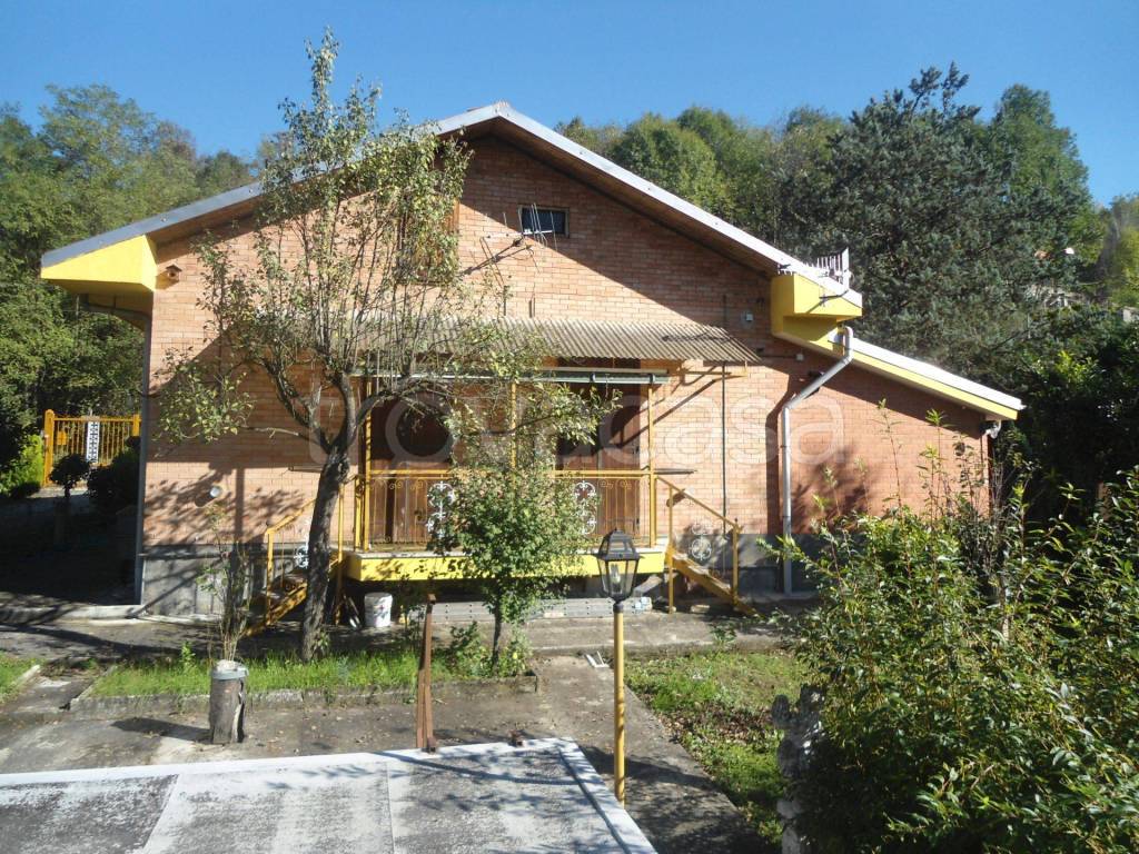 immagine annuncio 2 di 12