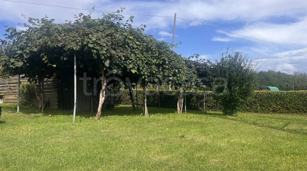 immagine annuncio 4 di 14