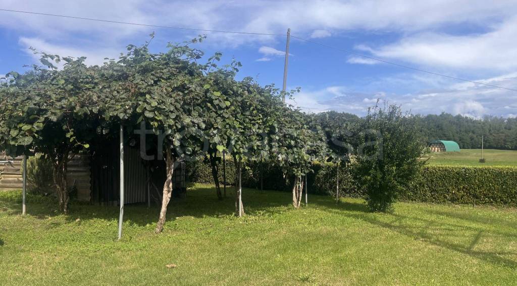 immagine annuncio 5 di 14