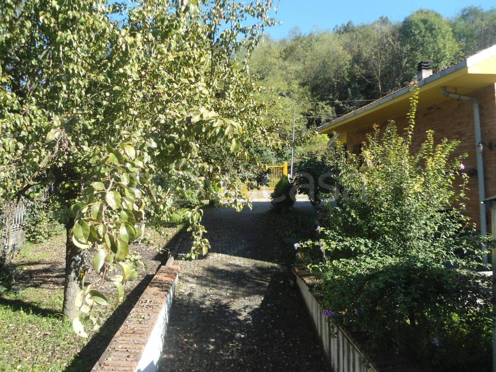 immagine annuncio 5 di 12