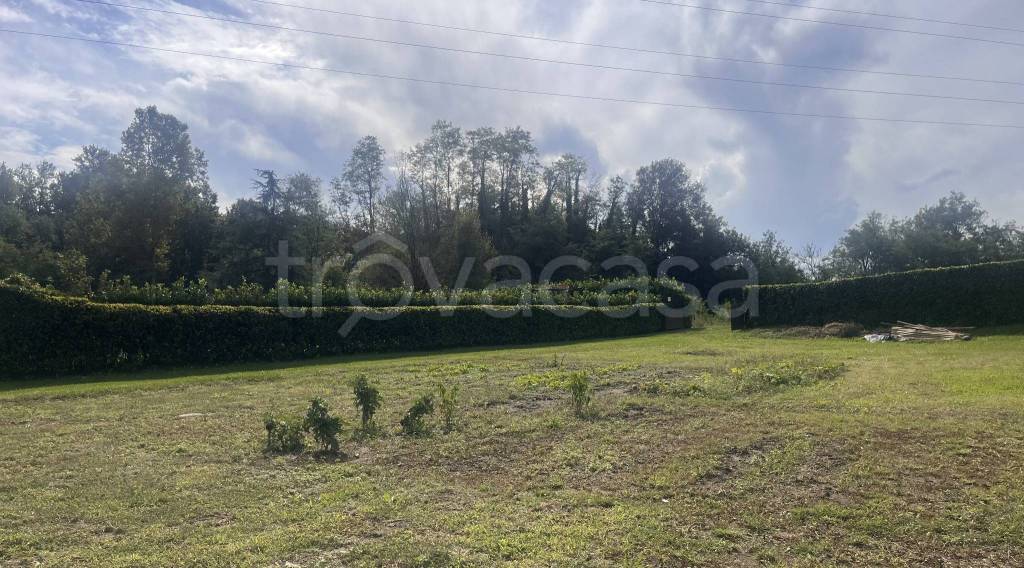 immagine annuncio 8 di 14