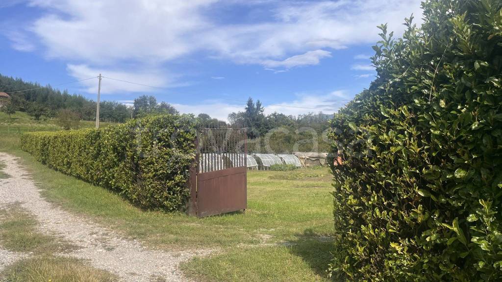 immagine annuncio 10 di 14