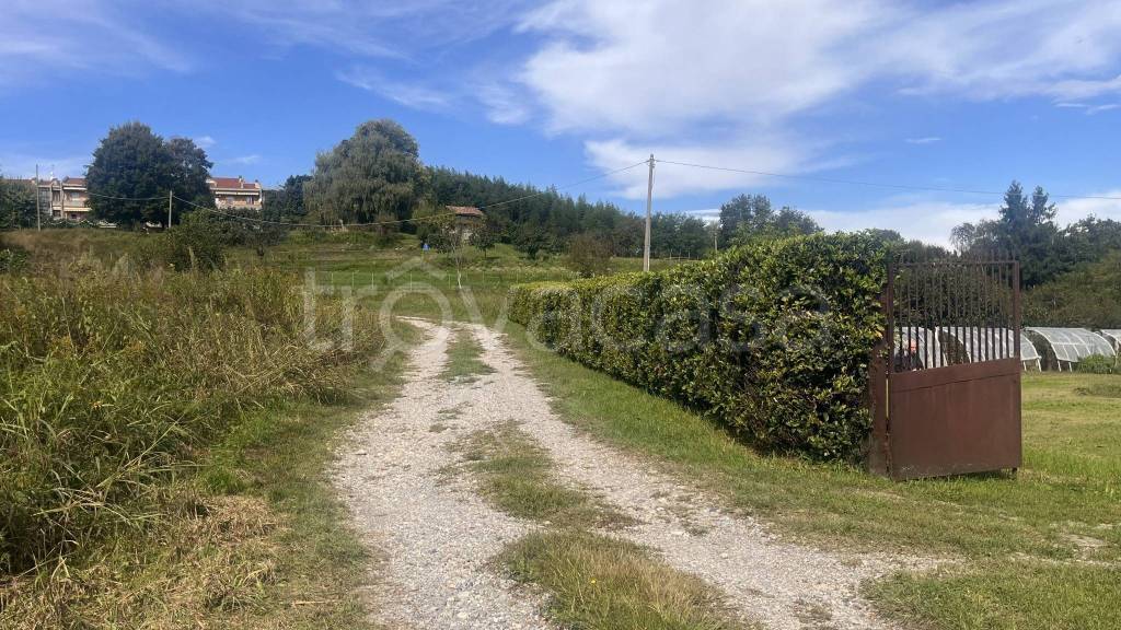 immagine annuncio 11 di 14