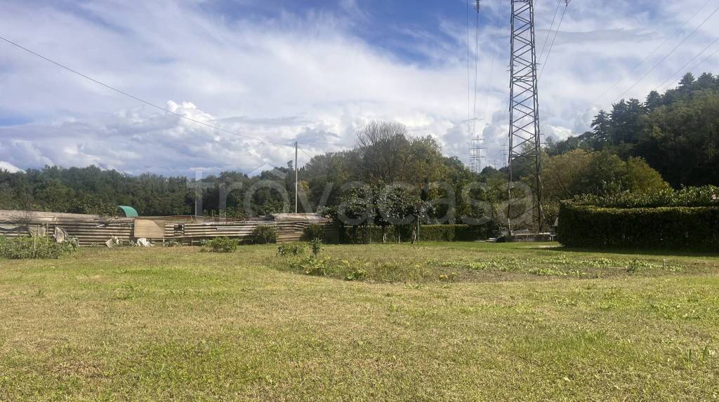 immagine annuncio 12 di 14